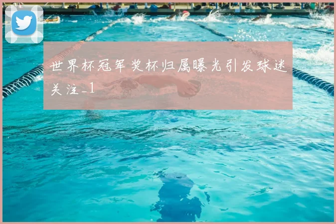世界杯冠军奖杯归属曝光引发球迷关注_1