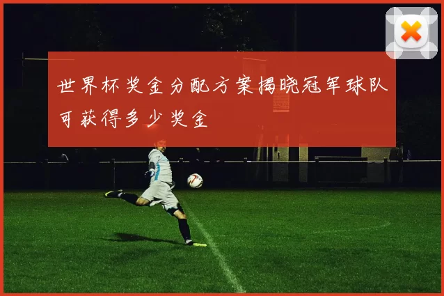 世界杯奖金分配方案揭晓冠军球队可获得多少奖金