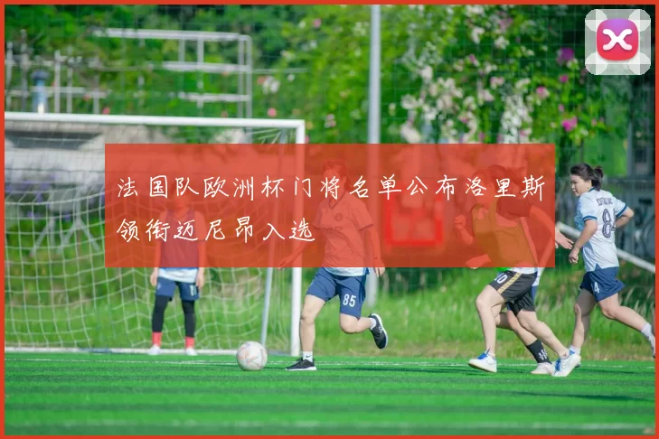 法国队欧洲杯门将名单公布洛里斯领衔迈尼昂入选