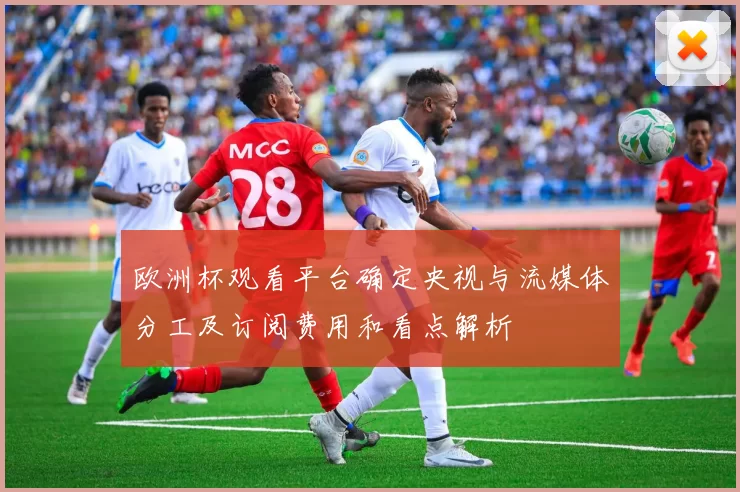 欧洲杯观看平台确定央视与流媒体分工及订阅费用和看点解析