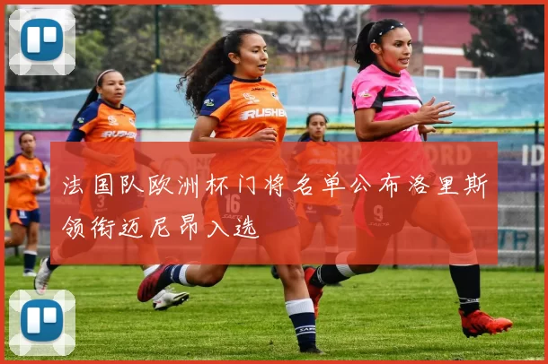 法国队欧洲杯门将名单公布洛里斯领衔迈尼昂入选