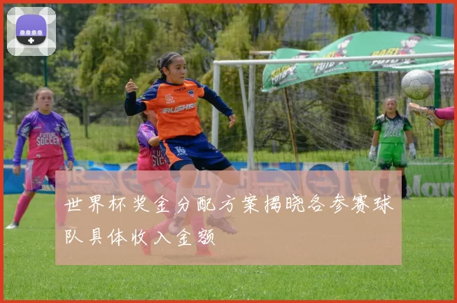 世界杯奖金分配方案揭晓各参赛球队具体收入金额