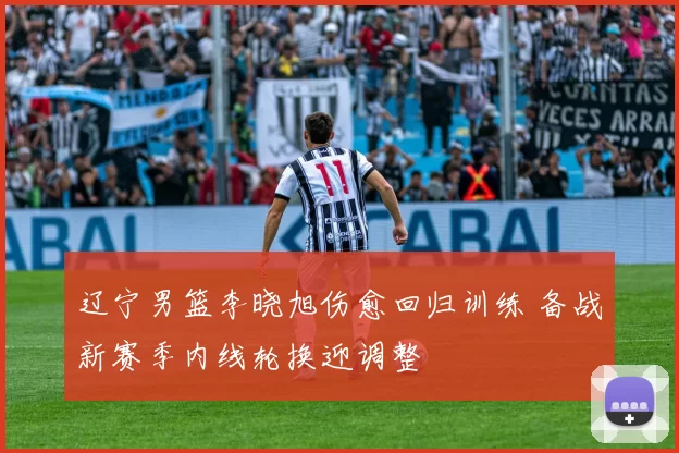 辽宁男篮李晓旭伤愈回归训练 备战新赛季内线轮换迎调整