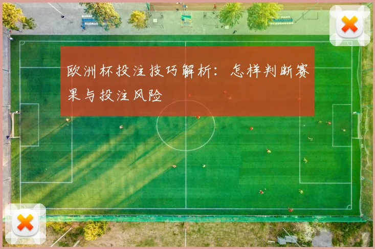 欧洲杯投注技巧解析：怎样判断赛果与投注风险