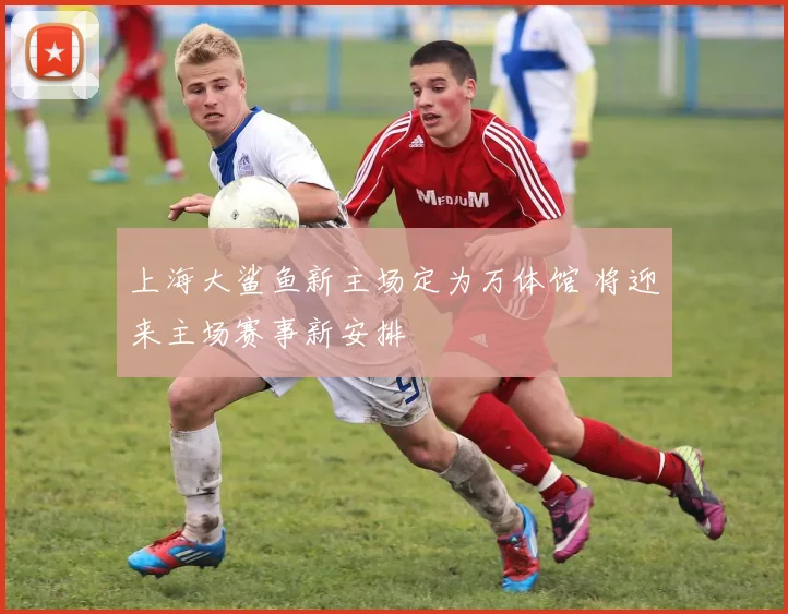 上海大鲨鱼新主场定为万体馆 将迎来主场赛事新安排