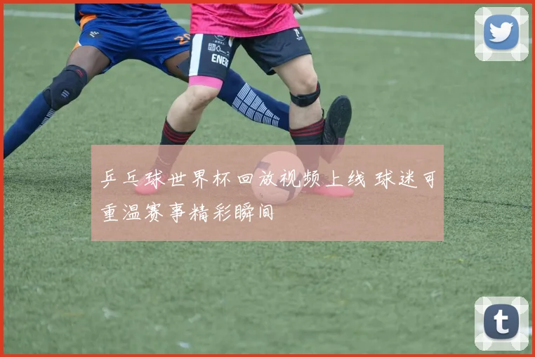 乒乓球世界杯回放视频上线 球迷可重温赛事精彩瞬间