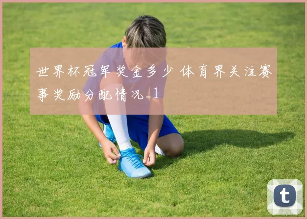 世界杯冠军奖金多少 体育界关注赛事奖励分配情况_1