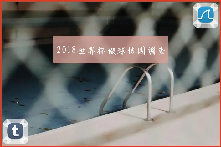 2018世界杯假球传闻调查