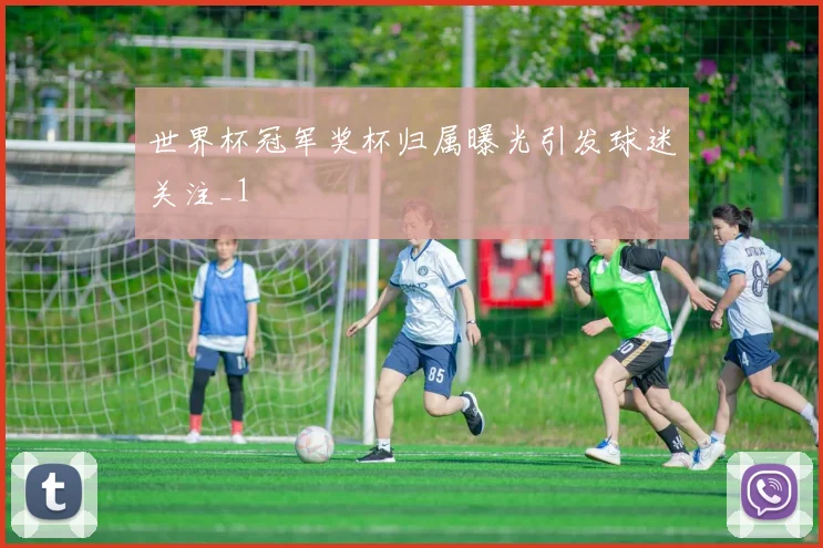 世界杯冠军奖杯归属曝光引发球迷关注_1