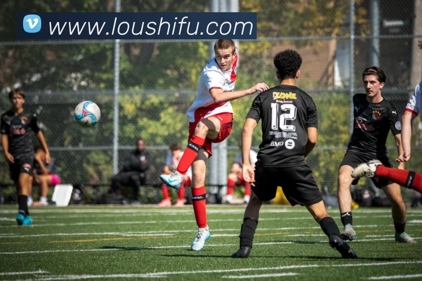 米兰网官网登录入口发展历程